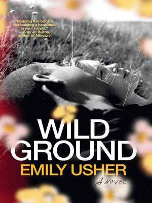 cover image of Wild Ground